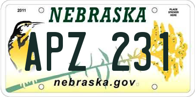 NE license plate APZ231