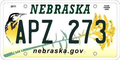 NE license plate APZ273
