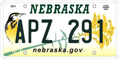 NE license plate APZ291
