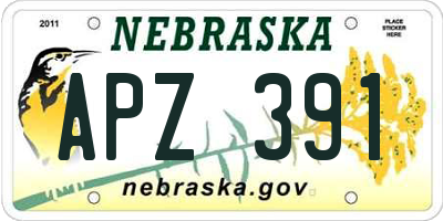 NE license plate APZ391