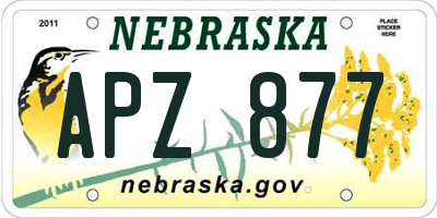 NE license plate APZ877