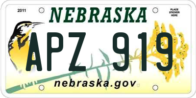 NE license plate APZ919