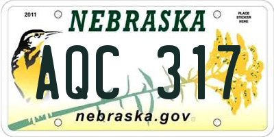 NE license plate AQC317