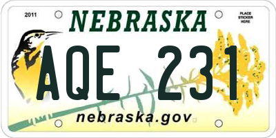 NE license plate AQE231
