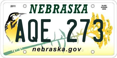 NE license plate AQE273