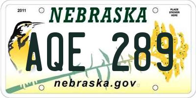 NE license plate AQE289