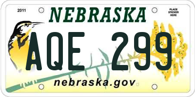 NE license plate AQE299