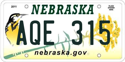 NE license plate AQE315