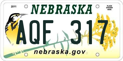 NE license plate AQF317