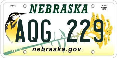 NE license plate AQG229