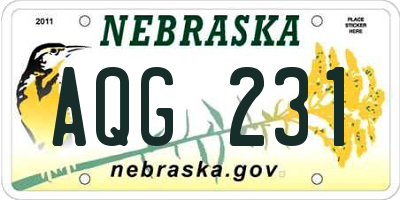 NE license plate AQG231