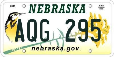 NE license plate AQG295
