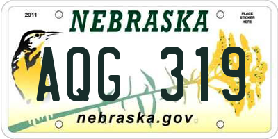 NE license plate AQG319