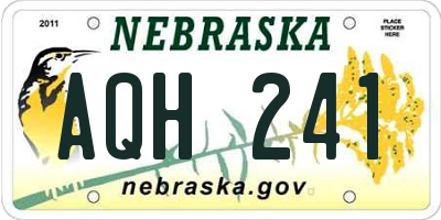 NE license plate AQH241