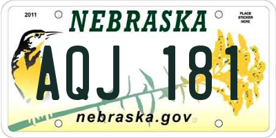 NE license plate AQJ181