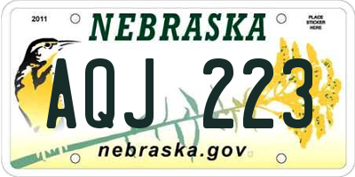 NE license plate AQJ223