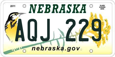 NE license plate AQJ229