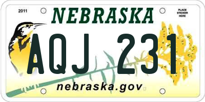 NE license plate AQJ231