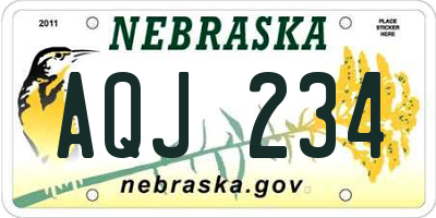 NE license plate AQJ234