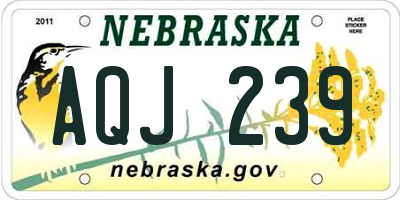 NE license plate AQJ239