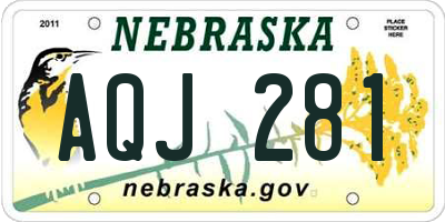 NE license plate AQJ281
