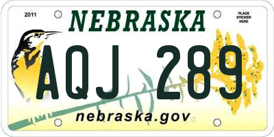 NE license plate AQJ289