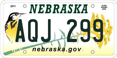 NE license plate AQJ299