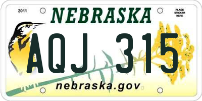NE license plate AQJ315