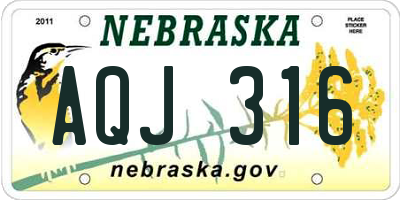 NE license plate AQJ316