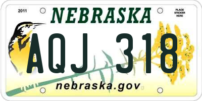 NE license plate AQJ318