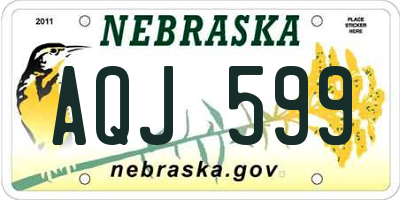 NE license plate AQJ599