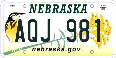 NE license plate AQJ981