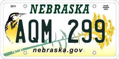 NE license plate AQM299