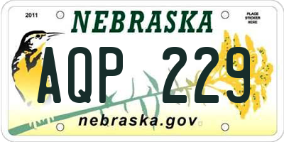 NE license plate AQP229