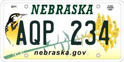 NE license plate AQP234