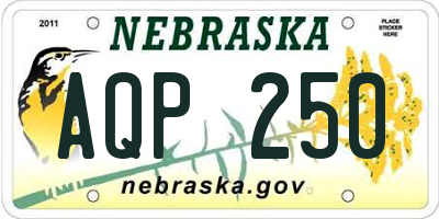 NE license plate AQP250