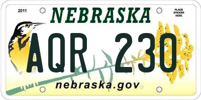 NE license plate AQR230