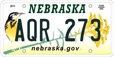 NE license plate AQR273