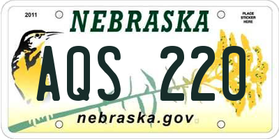 NE license plate AQS220