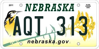 NE license plate AQT313