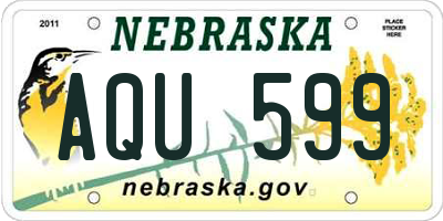 NE license plate AQU599