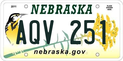 NE license plate AQV251