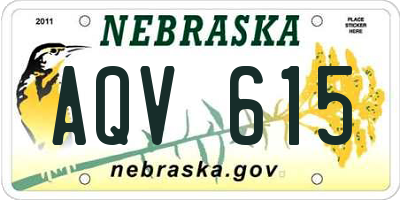 NE license plate AQV615