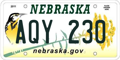 NE license plate AQY230
