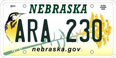NE license plate ARA230