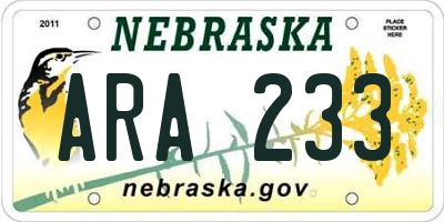 NE license plate ARA233
