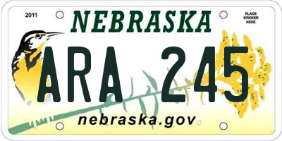 NE license plate ARA245