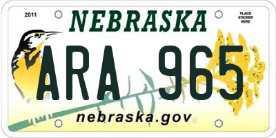 NE license plate ARA965