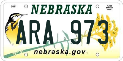 NE license plate ARA973