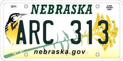 NE license plate ARC313